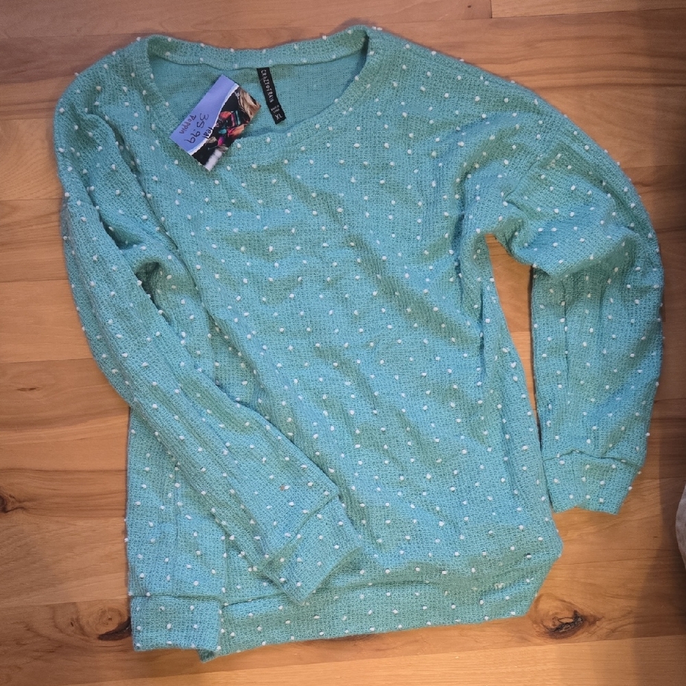 Crazy Train Mint Sweater with White Accents
